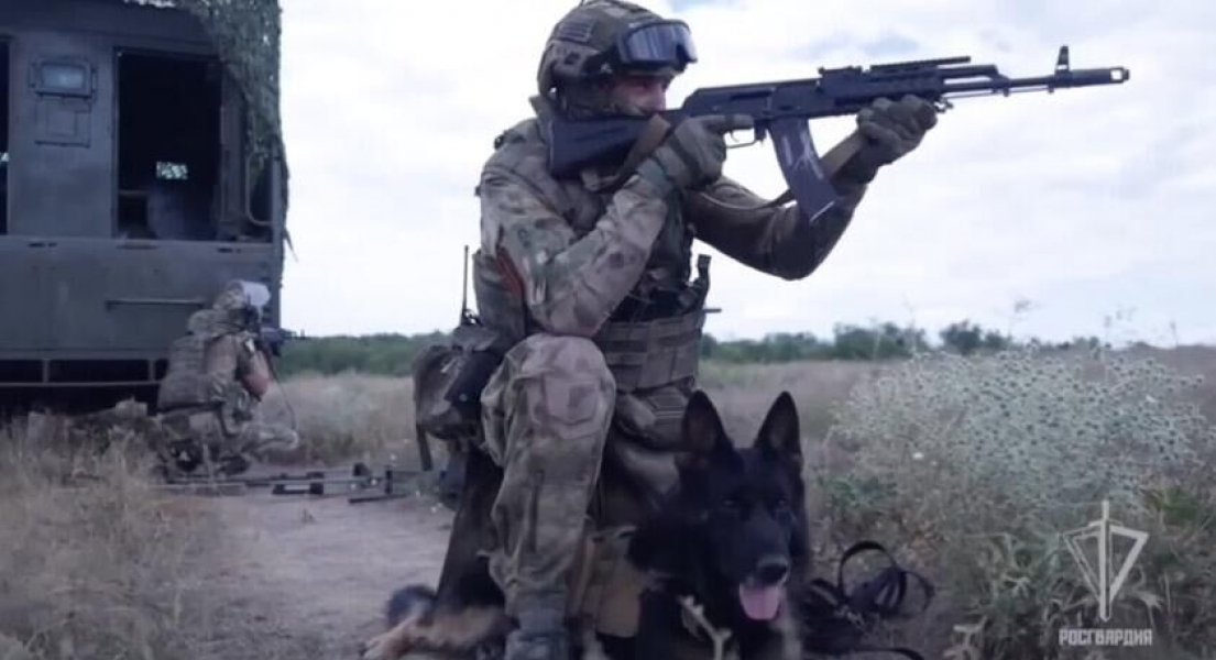 В ЛНР сотрудники Росгвардии обнаружили и обезвредили мину-сюрприз В ЛНР сотрудники Росгвардии обнаружили и обезвредили мину-сюрприз